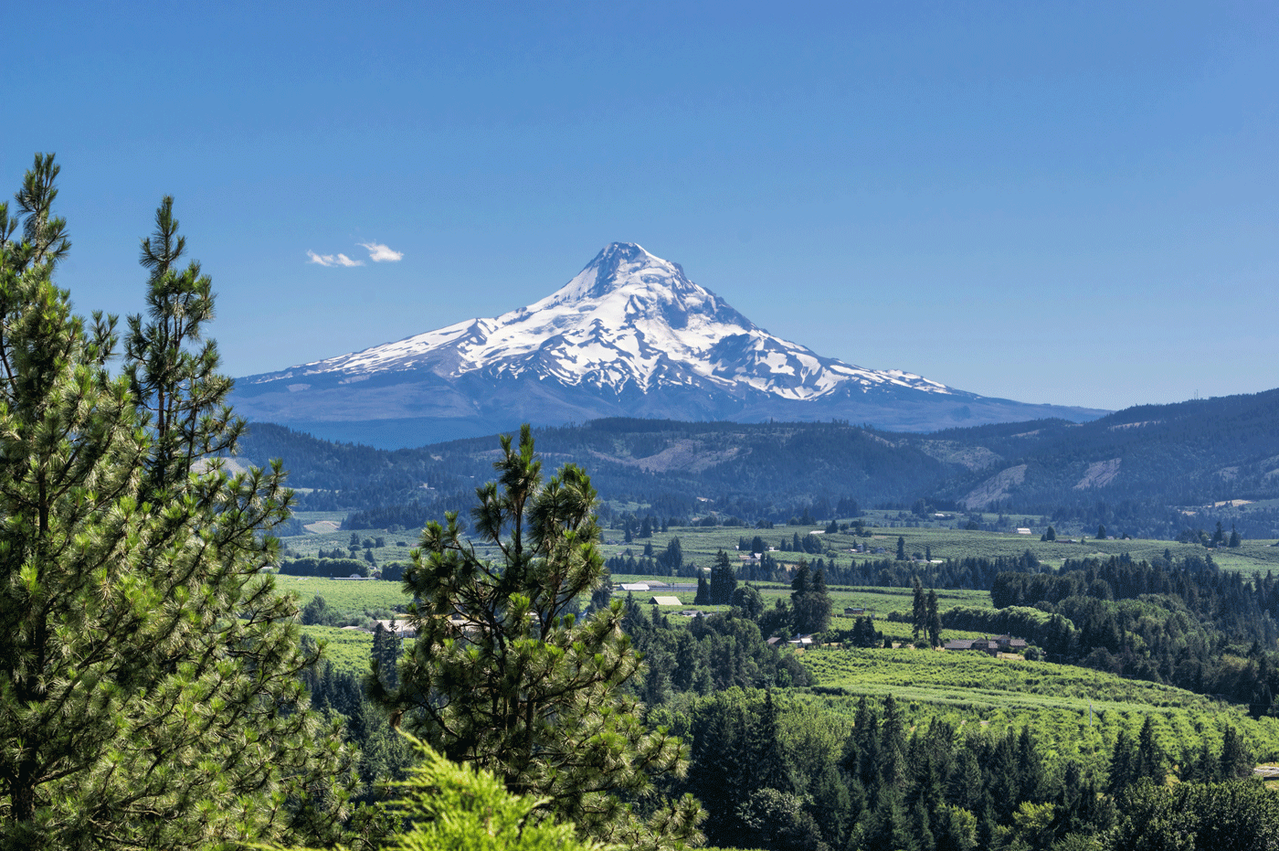 Photo of mount Hood in Oregon