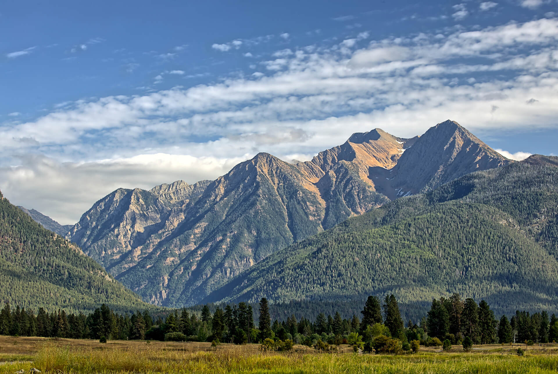 montana-hero-img