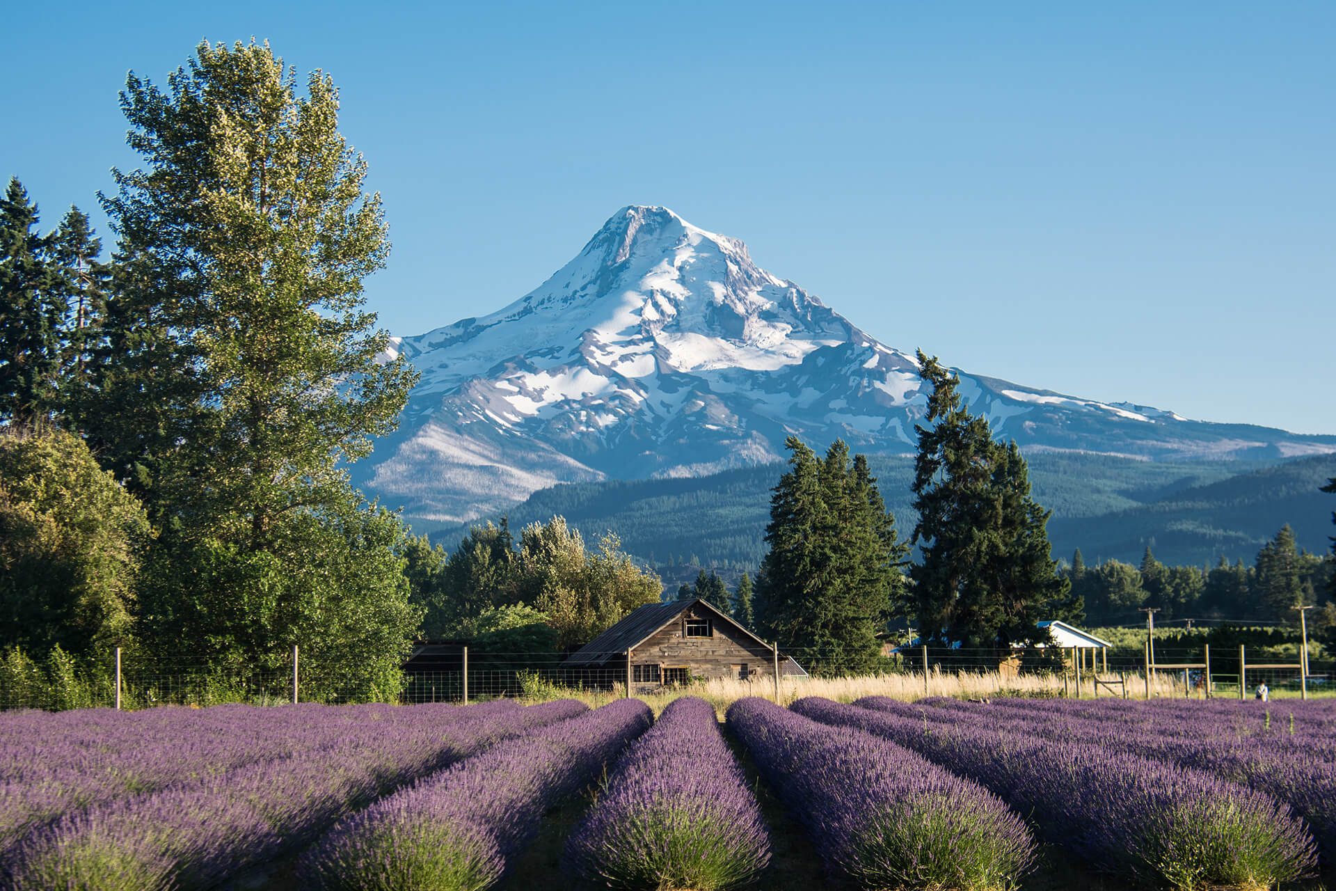 oregon-banner-img